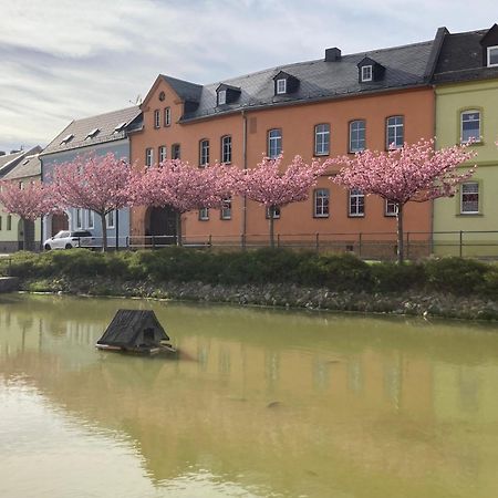 Pension Und Ferienwohnung Am Teich Schleiz Exterior foto