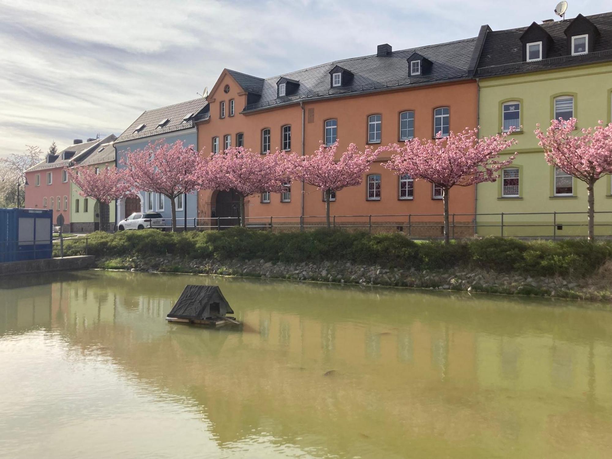 Pension Und Ferienwohnung Am Teich Schleiz Exterior foto